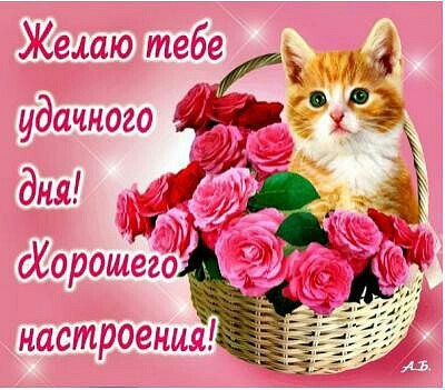 IMG 20180911 160116 272