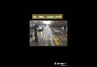 Регулировщик и собака )