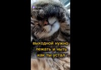 Выходной )