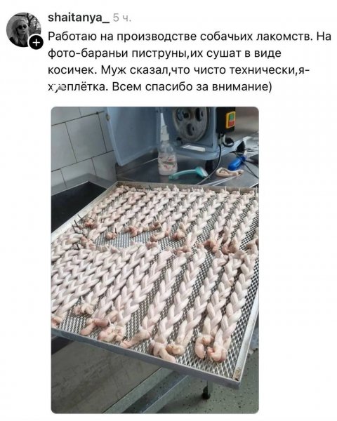 IMG 20261005 195317 576