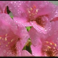 file_86463094