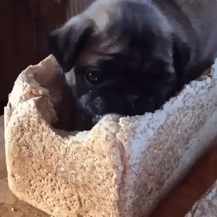 gif 1473878351