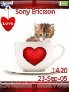 Love cat