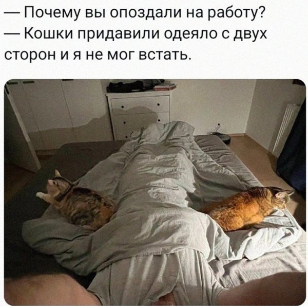 file_103594220