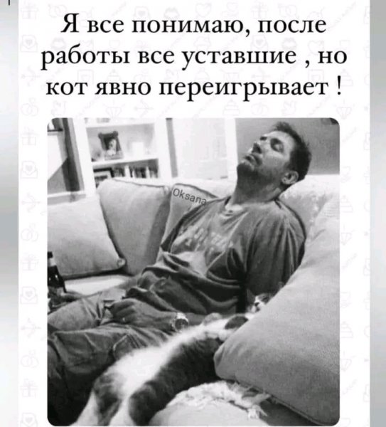 file_103527298