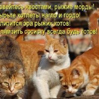 Близится эра рыжих котов