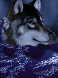file_53366395
