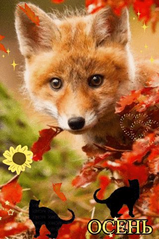 file_74752616
