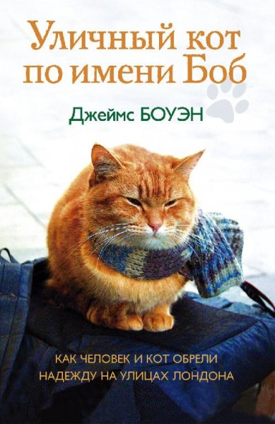 Уличный кот по имени Боб