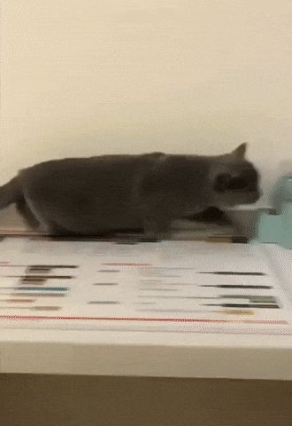 ))