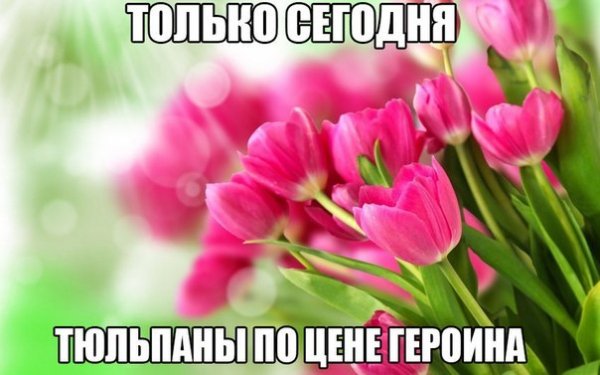 ObHvU13QSBA