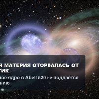 file_103239430