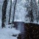Winter Anim1