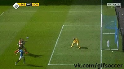 Tim Howard save