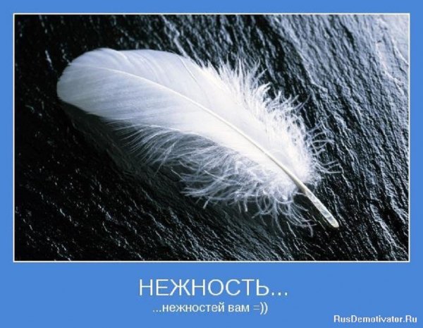 Нежность