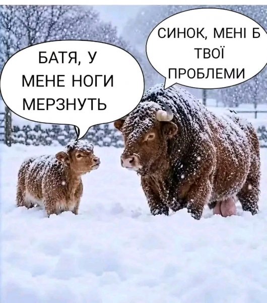 file_103563758