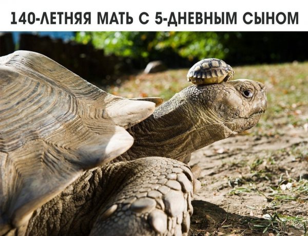APtf70zw7CE