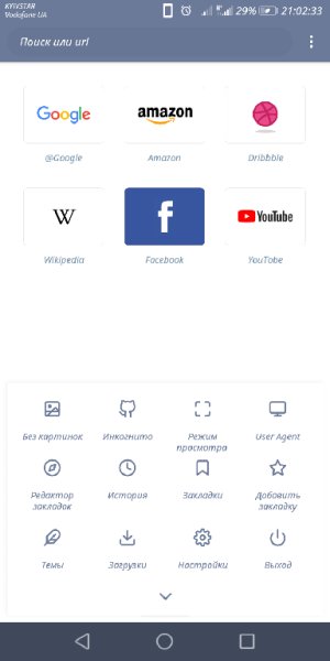 Magic Browser v.0.9.7.8 ru VIP