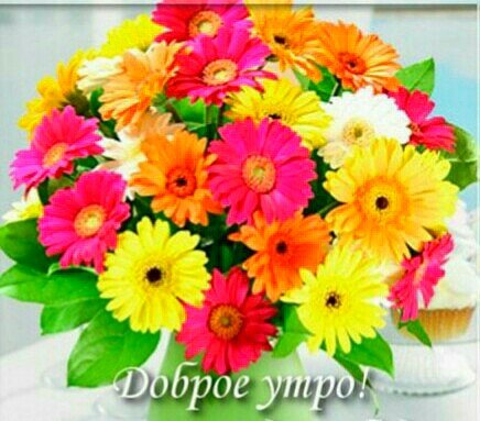 IMG 20180920 031040 880