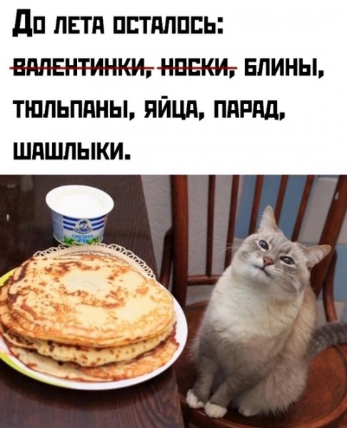 file_99135358