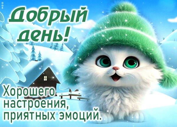 IMG 20240109 005526