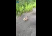 Посмотри как я устал