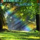 Rainbow 0 1