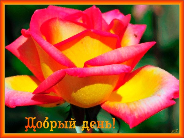 file_56099808