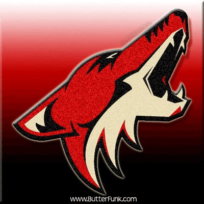 0 nhl hockey phoenix coyotes