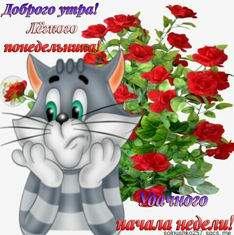 IMG 20180723 093348