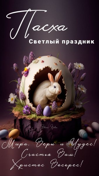 file_93224177