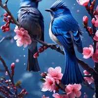 file_96014993