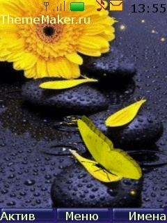 file_62504885