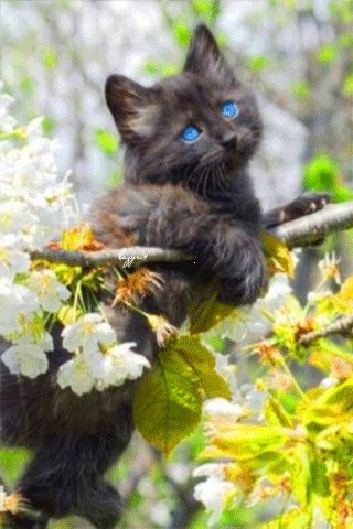 file_48235327
