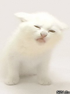 file_27325860