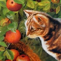 Кошка и яблоки
