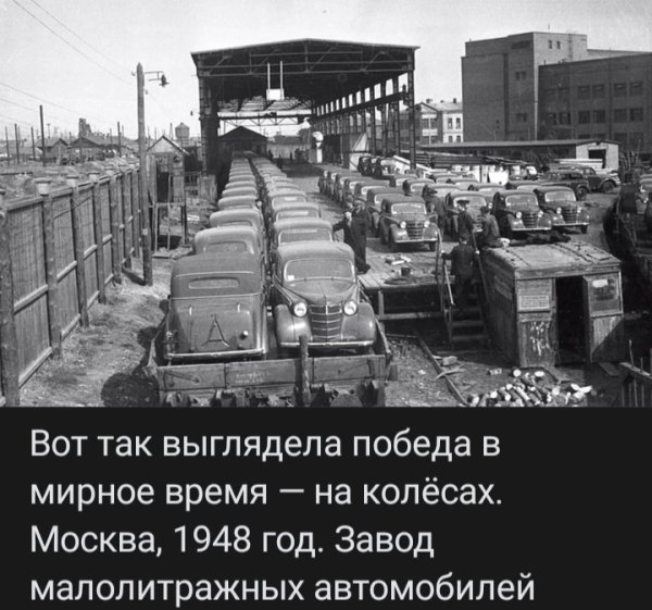 file_100271906