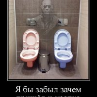 file_81343255