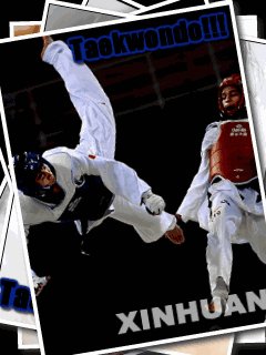 Taekwondo