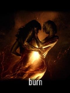 burn (DeMarco5)