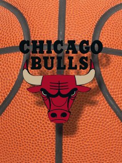 basket chicago bulls