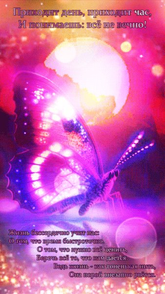 file_92616705