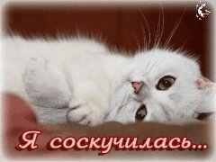 »