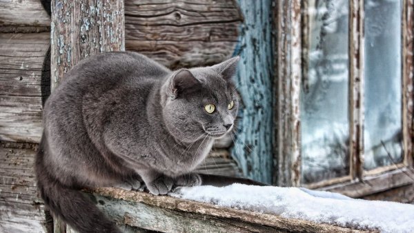 file_97301798