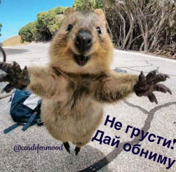 file_98922855