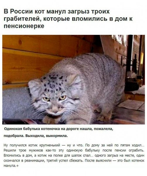 file_70071622