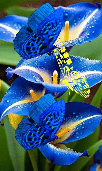file_98947774
