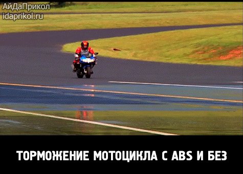 АНИМ5