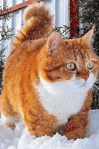 IMG 20231107 235920