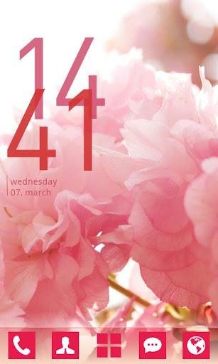 Z.Card R Go launcher Ex theme